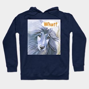 Blue Afghan Hound asking "What?" Hoodie